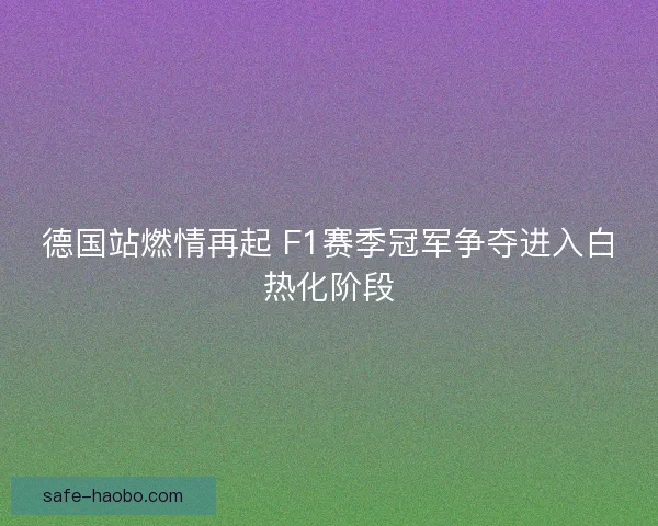 德国站燃情再起 F1赛季冠军争夺进入白热化阶段
